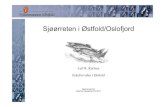 Sjøørreten i Østfold/Oslofjord...Oppsummering • Strandnotundersøkelse fra Flødevigen (1919 – ) indikerer at det er bra med ørret i sjøen • Oslofjorden/Skagerrak har mange