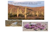 Biological Resources of the Sonoran Desert National Monumentaznps.com/Floras/sdnm.pdf · Biological Resources of the Sonoran ... Biological Resources of the Sonoran Desert National