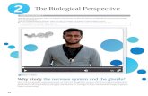 The Biological Perspective - Pearson · Biological psychology, or behavioral neuroscience, is the branch of neuroscience that focuses on the biological bases of psychological processes,