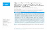 The complete mitochondrial genome of Paragonimusohirai ... · the pathogenic lung-fluke, Paragonimus westermani, and other members of the genus. The circular mitochondrial DNA molecule