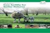 SHEEP BRP MANUAL 11 Ewe fertility for Better Returns Publication Docs/Ewe...Ewe fertility is one of the main drivers underlying the output of a sheep flock. Optimising fertility increases