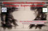 Dra. Ana Karina Cuentas-Gallegos · Ana Karina Cuentas-Gallegos Instituto de Energías Renovables-UNAM. s Supercondensadores Electroquímicos Baterías de tible s Batteries Fuel Cells