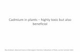 Cadmium in plants–highlytoxic but also bfiilbeneficial · • shift of absorbance / fluorescence bands energy transfer disturbed • different structure proteins denature • when