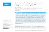 Comprehensive tissue-specific transcriptome profiling of ... · genome sequencing project that mainly focuses on crassulacean acid metabolism study (Ming etal., 2015). Currently,
