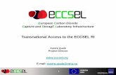 Transnational Access to the ECCSEL RI · •Transport test rig at CO2 technology Development centre for CO2 capture •CO2 storage technology development plant PGI-NRI (Poland): •Micro