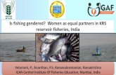 Is fishing gendered? Women as equal partners in KRS ...Is fishing gendered? Women as equal partners in KRS reservoir fisheries, India Velumani, P., Ananthan, P.S, Ramasubramanian,