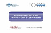 Estudo do Mercado Suíno Público: Canais e Consumidores ...intranet.df.sebrae.com.br/download/uam/Pesquisa/Suinos Consolidado... · • Consumidores: Pesquisa quantitativa, de 18