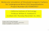 Molecular simulation of Dissolved Inorganic …...6 Introduction For Monitoring, Verification and Accounting (MVA) of CO2 sequestration. need to measure the Dissolved Inorganic Carbons