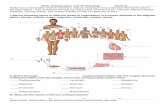Organization and terminology - Drage Homepage and terminology.pdf · Body Organization and Terminology Student_____ Robert Palmer Willmar Senior High Science Human Anatomy and Physiology