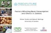 Factors Affecting Bean Consumption and Choice in …...• Little is known about who the dry bean consumers are and in Zambia, what drives their levels of consumption • Empirical