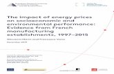 The impact of energy prices on socioeconomic and environmental … · 2019-12-17 · The impact of energy prices on socioeconomic and environmental performance: Evidence from French