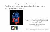 Early colorectal cancer Quality and rules for a good …...Early colorectal cancer Quality and rules for a good pathology report Histoprognostic factors Pr Frédéric Bibeau, MD, PhD