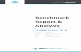 Benchmark Report & Analysis Sample Report 2018 Benchmark Report & Analysis Sample Report 2018 Prepared