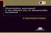 Nutrición prenatal y su efecto en el desarrollo cerebral · 2019-08-11 · Nutrición prenatal y su efecto en el desarrollo cerebral XI tancia de los aminoácidos en la nutrición