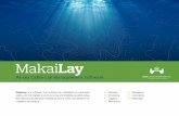 At-sea Cable Lay Management SoftwareAt-sea Cable Lay Management Software • Planning • Simulating • Logging • Monitoring MakaiLay is a software that controls the installation