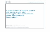 Currículo Orbis para el Wet-Lab de Cirugía de Catarata por … · 2020-02-26 · Currículo Orbis para el Wet-Lab Este currículo está diseñado para proporcionar entrenamiento