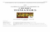 SAMPLE COSTS TO PRODUCE CHERRY TOMATOES · 2015-04-02 · Sample costs to produce cherry tomatoes in the San Joaquin Valley are shown in this study. The study is ... A typical water
