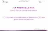 (Sistema Único de Vigilancia Epidemiológica) …evaluacion.ssm.gob.mx/diagnosticoensalud-SSM2/contenido/...Diagnóstico Estatal de Salud D.R.© Servicios de Salud de Morelos 2019,