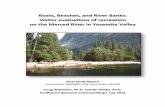 Boats, Beaches, and River Banks: Visitor evaluations …...Boats, Beaches, and River Banks: Visitor evaluations of recreation on the Merced River in Yosemite Valley Final Study Report