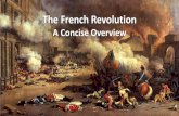 The French Revolution...social unrest when the French people feared the king’s armies were going to kill them for starting a revolution. The panic also swept through the city slums