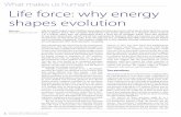 Life force: why energy shapes evolution - Nick Lanenick-lane.net/.../Lane-Life-force-why-energy-shapes-evolution...Oct15.… · Life force: why energy shapes evolution Nick Lane (University