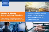 Health & Safety · 2019-11-07 · Maturity Continuum . ASSESSING MATURITY. The maturity model outlines three stages of maturity progression from Minimum to Leading as represented