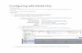 Configuring SAP HANA One · Configuring SAP HANA One This guide covers 1. One-time configuration that secures your connection to your SAP HANA One instance and set related User passwords,