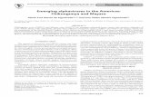 Emerging alphaviruses in the Americas: Chikungunya and Mayaro · CHIKUNGUNYA VIRUS Chikungunya virus is a zoonotic arbovirus that was ﬁ rst isolated from an African primate in 195214.