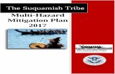 Multi-Hazard Mitigation Plan 2017...Federal Emergency Management Agency’s (FEMA) Pre- Disaster Mitigation and Hazard Mitigation Grant programs. The Tribe followed a planning process