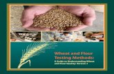Wheat and Flour Testing Methods - NDSU Wheat and Flour Testing Methods: A Guide to Understanding Wheat
