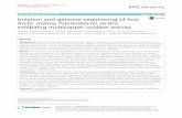 Isolation and genome sequencing of four Arctic marine … · 2017-04-10 · RESEARCH ARTICLE Open Access Isolation and genome sequencing of four Arctic marine Psychrobacter strains