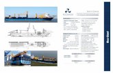 BLUE GIANT - gob.mx · 2019-05-14 · BLUE GIANT deee . BLUE MARINE TECHNOLOGY GROUP 3 electro hydraulic cranes portside Crane 1 capacities Crane 2 capacities Crane 3 capacities DECK