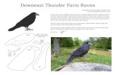 Downeast Thunder Farm RavenDowneast Thunder Farm Raven Copyright 2016 Downeast Thunder Farm  Create two mirror images of this raven for a double-sided ornament.