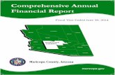 Comprehensive Annual Financial Report · 2019-12-16 · the statute, the Office of the Auditor General audited the Comprehensive Annual Financial Report (CAFR) of Maricopa County