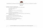 ORDENANZA MUNICIPAL DE CIRCULACIÓN DE LAS PALMAS DE … · 2020-03-05 · ORDENANZA MUNICIPAL DE CIRCULACIÓN DE LAS PALMAS DE GRAN CANARIA AYUNTAMIENTO DE LAS PALMAS DE GRAN CANARIA