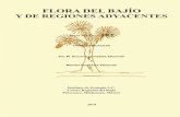 FASCÍCULO 183 - INECOLinecolbajio.inecol.mx/floradelbajio/documentos...Las ericáceas son un grupo de gran importancia ecológica en las áreas mon-tañosas de México, así como