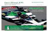 Fact Sheet XXL - Schaeffler Group · 2019-05-24 · April 14, 2018 Round 7 ... ond place for title defender Lucas di Grassi in Uruguay – our team is in good shape. Now we’d like