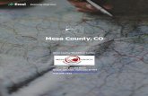 Mesa County, CO - Colorado...Economy Overview Mesa County, CO Mesa County Workforce Center 512 29 1/2 Road Grand Junction, Colorado 81504 Curtis.englehart@mesacounty.us 970.248.7562