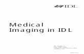 Medical Imaging in IDL - Michigan Technological University · expands IDL’s DICOM file access capabilities. Previously, read-only DICOM support was provided through the IDLffDICOM