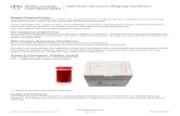 Infectious Specimen Shipping Guidelines · Infectious Specimen Shipping Guidelines ©2019 Mayo Foundation for Medical Education and Research Shipper Responsibilities Your test send-out