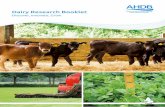 Dairy Research Booklet - Microsoft · 2018-05-17 · milk, a diet containing three portions of dairy and a ‘healthy’ diet containing dairy. Key messages Based on actual (rather