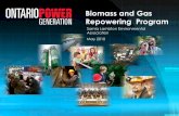 Biomass and Gas Repowering Program - Sarnia Environment · 2013-12-05 · •Biomass and Gas Repowering Program • Role of Repowered Coal Units in the Electricity System • Forest-Based