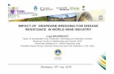 IMPACT OF GRAPEVINE BREEDING FOR DISEASE RESISTANCE IN ... · IMPACT OF GRAPEVINE BREEDING FOR DISEASE RESISTANCE IN WORLD WINE INDUSTRY Luigi BAVARESCO 1 Dept. of Sustainable Crop