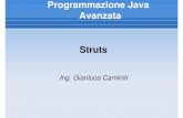 Programmazione Java Avanzata Struts - unirc.it · 2011-08-03 · Uso di Struts2 come MVC con Spring per usare Dependency Injection, mediante il struts2-spring-plugin (struts2-spring-plugin-2.1.6.jar)