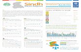 Second Largest province of Pakistan · T his is the 1st Sindh MDG report tracking the progress of Sindh against the 8 Millennium Development Goals (MDGs). This report takes stock