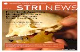 STRI NEWSstri-sites.si.edu/sites/strinews/PDFs/STRINews_Apr_29_2016.pdfNorte por un ancho mar.” Antes de que se descubrieran los dientes de mono, la evidencia más antigua de la