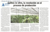 asaga-asaja.comasaga-asaja.com/wp-content/uploads/2019/05/Resumen-de... · 2019-05-31 · Cultivo in vitro, la revolución en el ASA Canarias Las técnicas de multiplicación in vitro