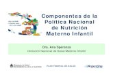 Componentes de la Política Nacional de Nutrición Materno ... · de Acciones en Nutrición Materno Infantil • Participación de referentes de Maternidad e Infancia, Primer Nivel