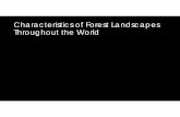 Characteristics of Forest Landscapes Throughout the Worldcourses.washington.edu/esrm441/Lectures/Freund_foresttypes.pdf · Characteristics of Forest Landscapes Throughout the World.