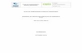 PLAN DE SANEAMIENTO BÁSICO INDUSTRIAL EMPRESA DE …eapsa.com.co/documentos/furagII/2016/GESTIÓN CON VALORES... · 2020-03-26 · programas requeridos para la conformación del